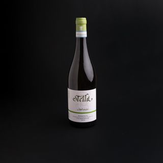 Chardonnay cantina Stella sufragio 13,5%Vol