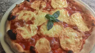 Saporita