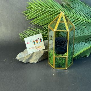 Rose Eternelle Noire sous Fanous