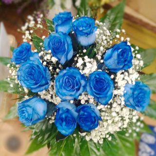 Ramo 12 Rosas osas Azules 