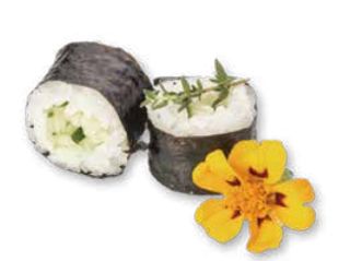 95 Hoso kappa - 6 pezzi