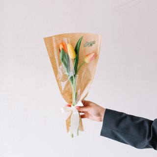 3 ტიტა კრაფტში