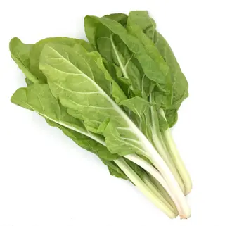 Acelga Invernadero Peso Estimado 350 Gr.