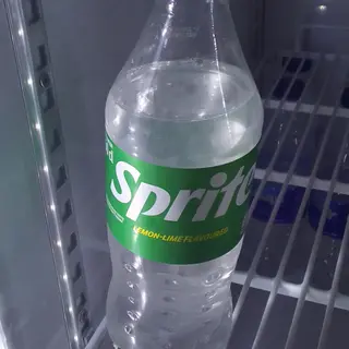 Pet sprite