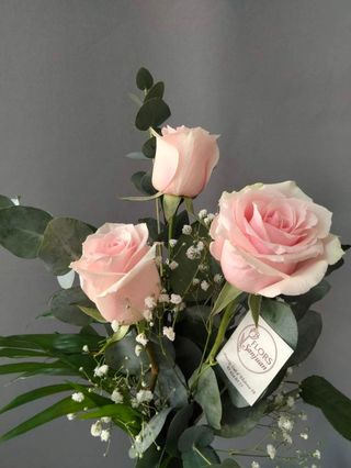 Rosa rosa 3 unidades