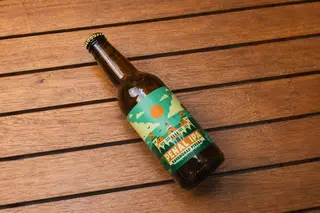 Penal IPA