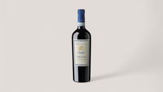 Nanfre DOC, Tenuta Sant'Antonio