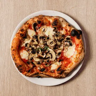 funghi
