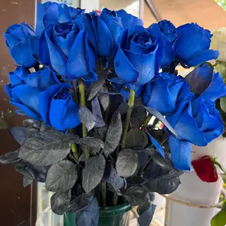 ROSA AZUL