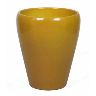 Vaso orchidea aracione