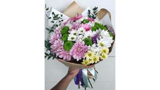 ხრიზანტემები მიქსი