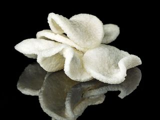 Chipsy ryżowe (70g)