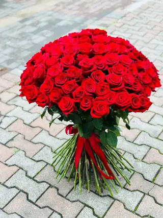 55.წითელი ვარდები