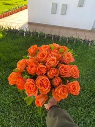 18 fleurs orange