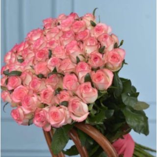 ვარდი ჯუმელია (50ც)