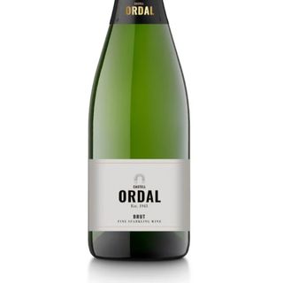 Vino Espumante en botello