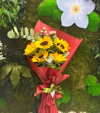 5 GIRASOLI