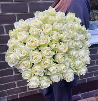 51 trandafiri albi 60-70 cm