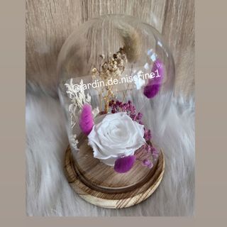 Rose éternelle  Avec fleurs séchée G