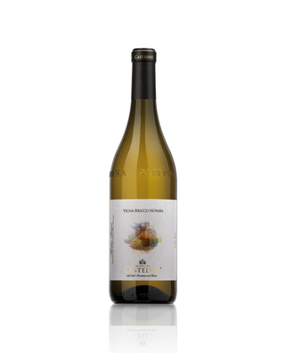 Roero Arneis "Vigna Bricco Novara" Cantina Castelvej