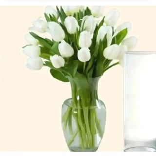 20 tulipani bianchi con vaso