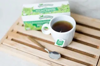Menta Poleo