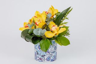 So elegant cu 5 orhidee