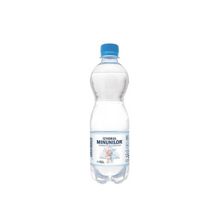         
Izvorul Minunilor gazată