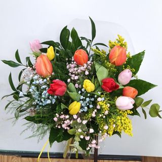 12 tulipanes de colores