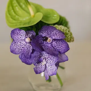 Mini jarrón de flores verdes y violetas