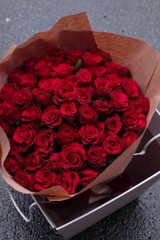 51 троянда "Class"