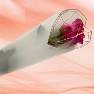 Trandafir mov in folie