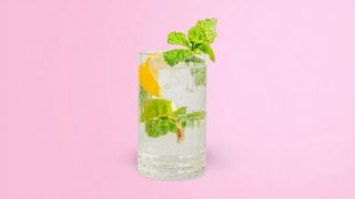 Домашний лимонад 0,300