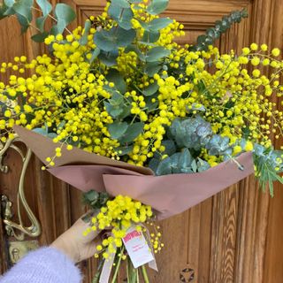 Ramo De Mimosa Y Eucalipto