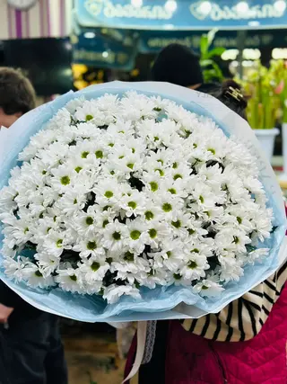 54.თეთრი გვირილები