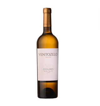 Ventozelo