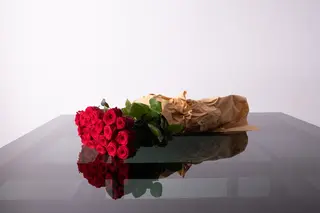 SOLO ROSE.  11 gambo lungo