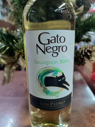 Gato Negro