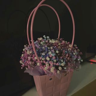 გიფსოფელა 