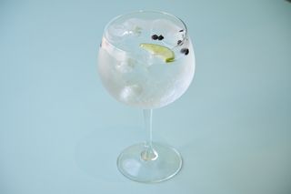Tequila Tonic