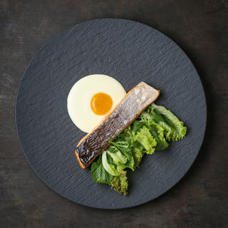 Սաղմոնի գրիլ կիեմ պարմեզանով և մանգոյի սֆերայով