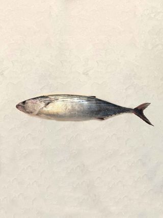Bonito (800 Gr.)