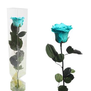 Rosa Eterna Turquesa Tallo Largo