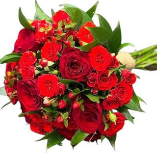 Crimson Passion Rose