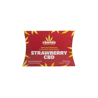 Cbweed Semilla Autofloreciente Cbd Naranja N.1