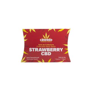 Cbweed Semilla Feminizada Cbd Fresa N.1