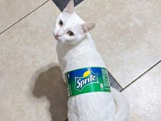 Спрайт 0,5