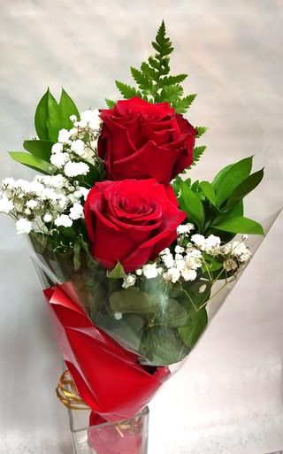 2 Rosas Rojas