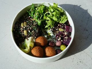 Боул з фалафелем (355g)