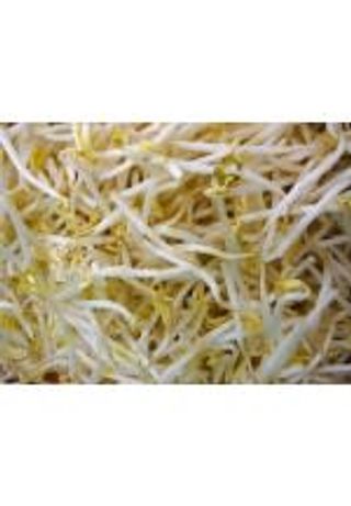 182. Соеви кълнове (80г)